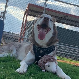 Meet your Posher, Maria